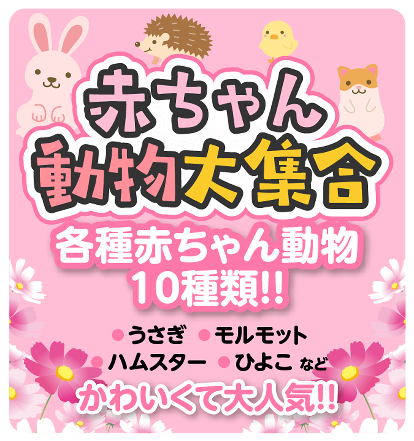 赤ちゃん動物大集合 各種赤ちゃん動物10種類!! うさぎ、モルモット、ハムスター、ひよこなど。かわいくて大人気!!