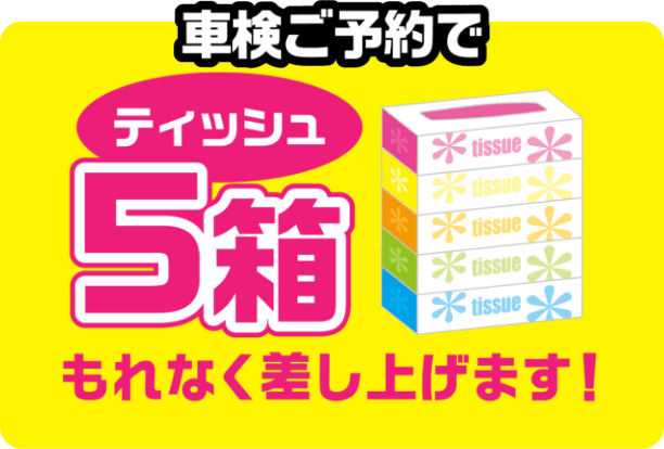 ボックスティッシュ5箱プレゼント